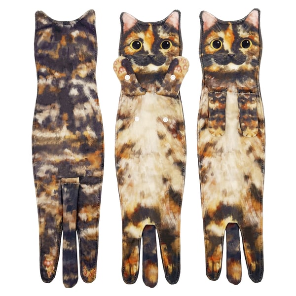 Calico Cat